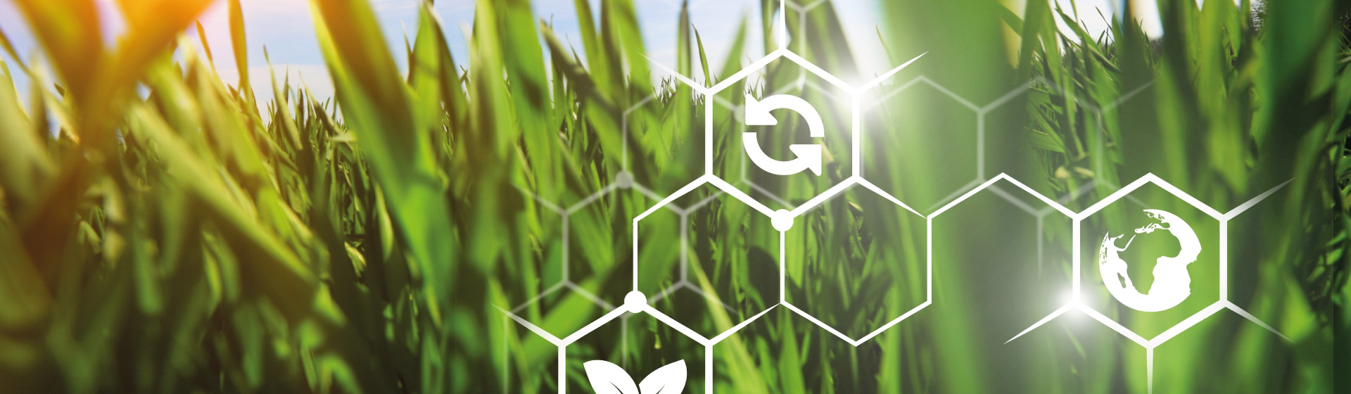 agridirect informatie agridirect informatie